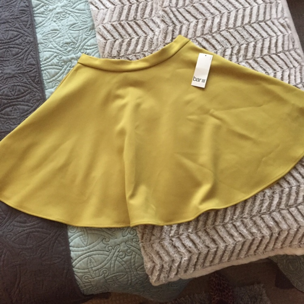 Bar III Skirt